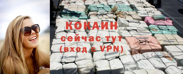 амф Осинники