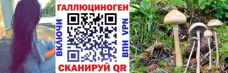 Галлюциногенные грибы ЛСД  где купить   гидра ONION  Советск 